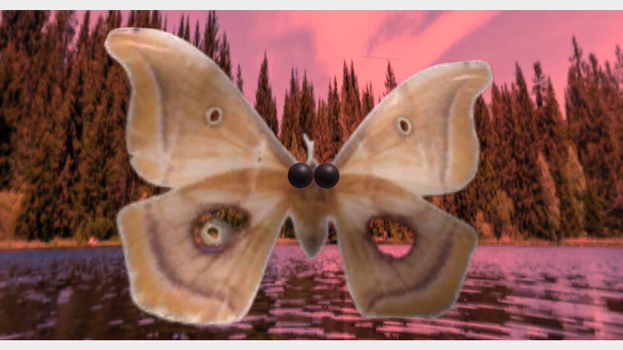 Moththerapy